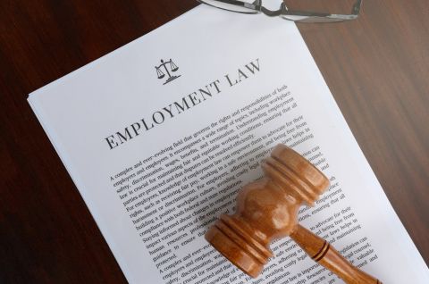 untitled (480 x 320 px) (480 x 318 px) (8)